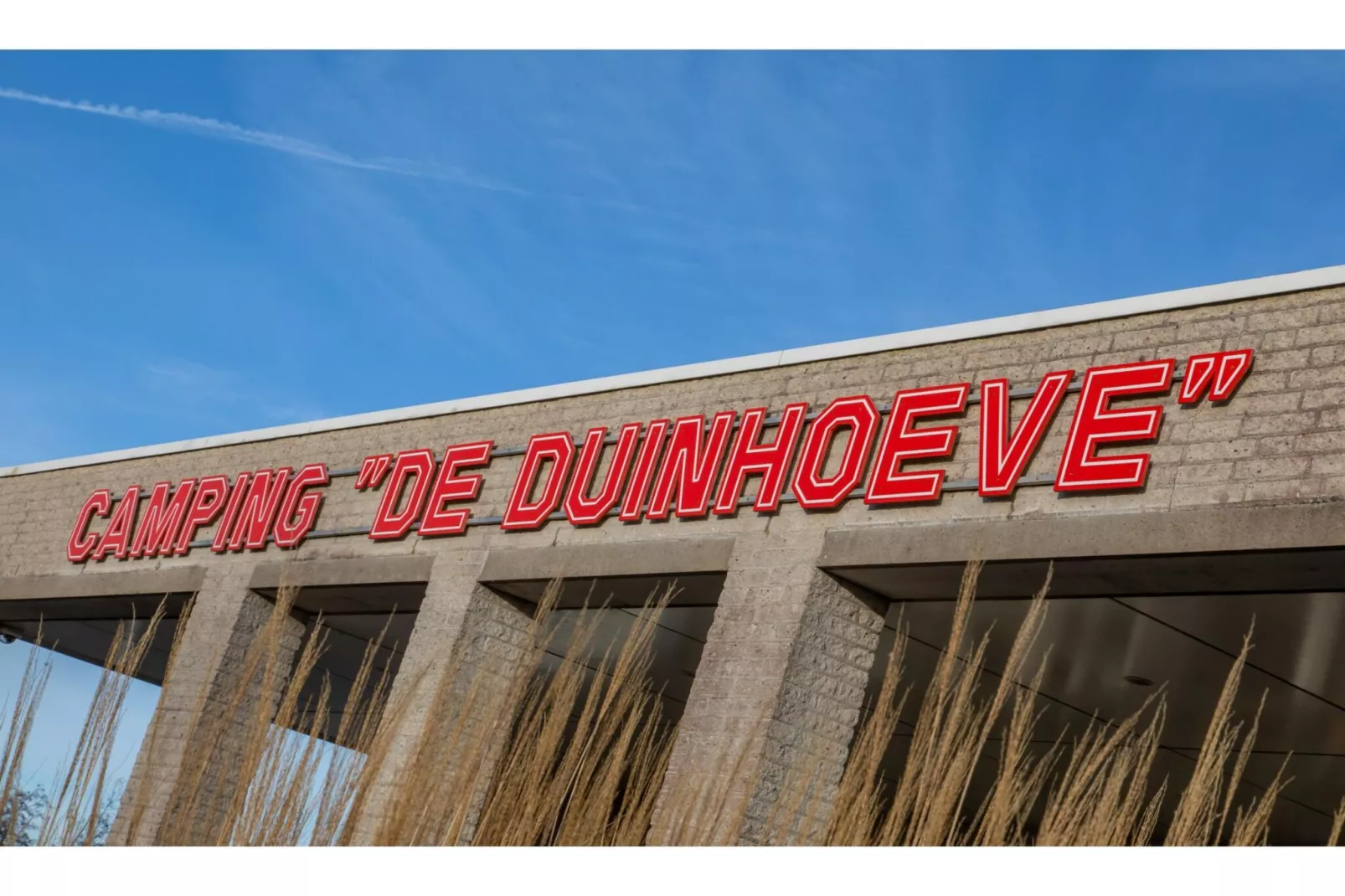 Chalet - Camping de Duinhoeve 'Bosdier'-Exterior summer