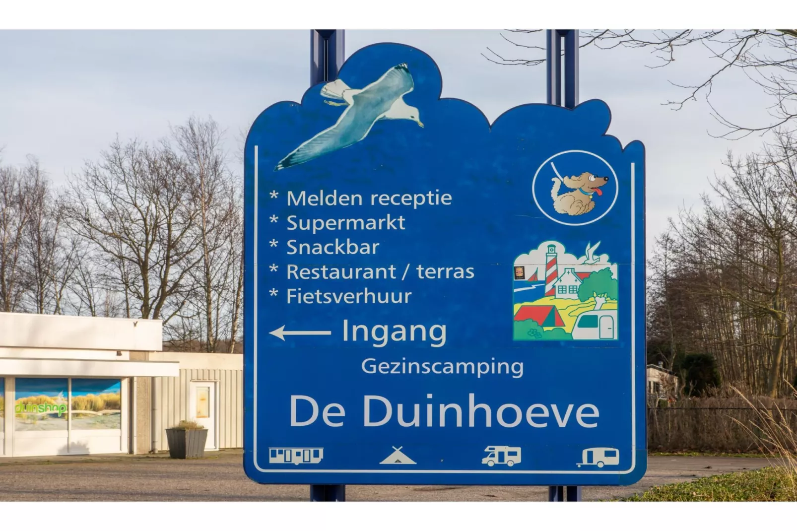 Chalet - Camping de Duinhoeve 'Bosdier'-Areas summer 5km
