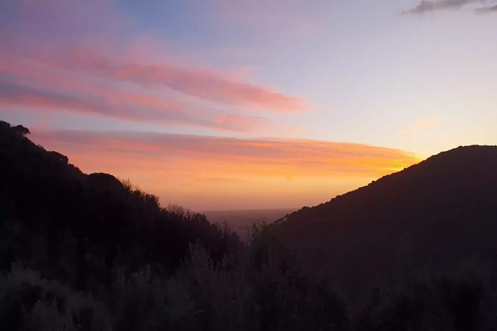 Tenuta del Serra-Ambiente