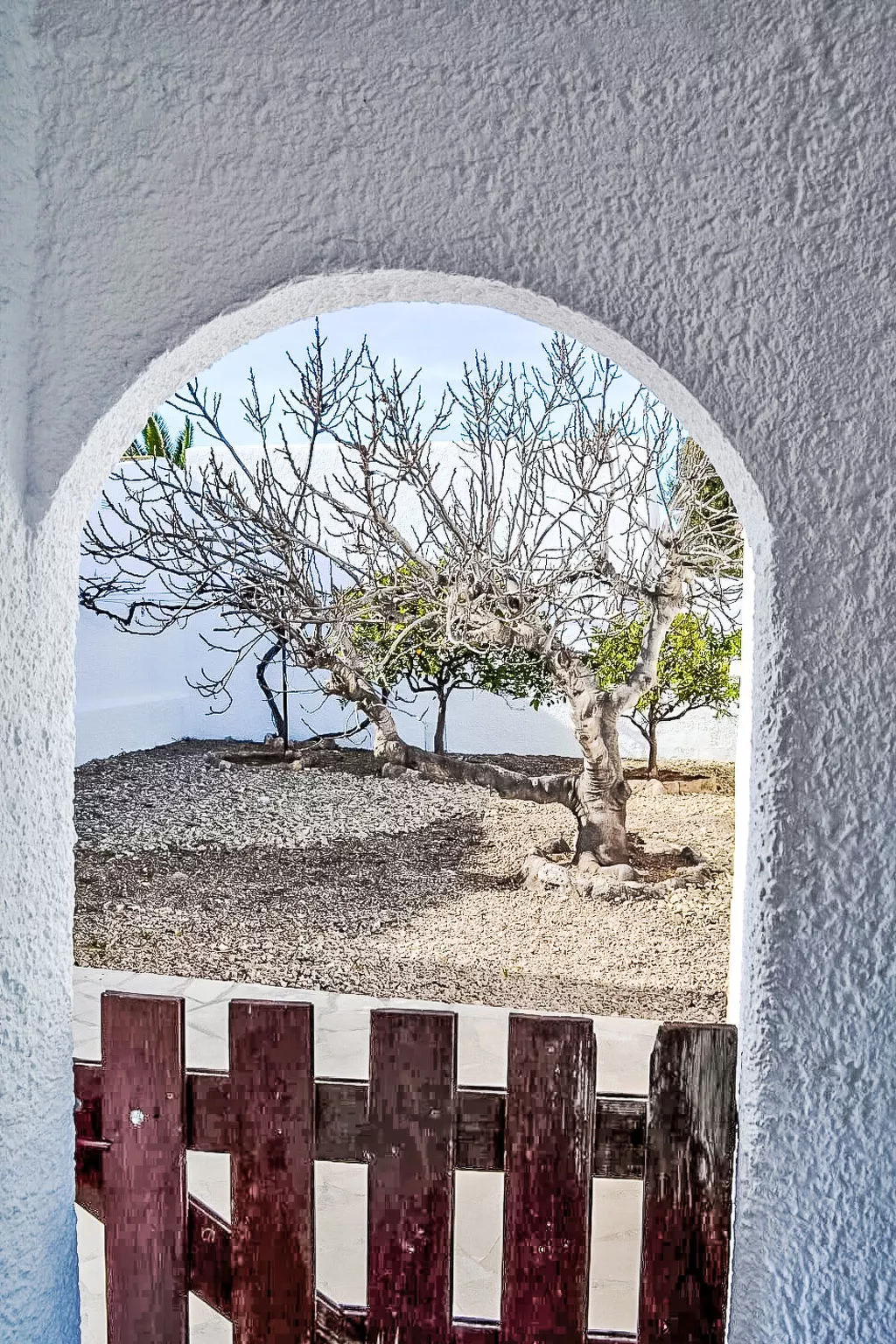 Junqué-Verdure-Outside