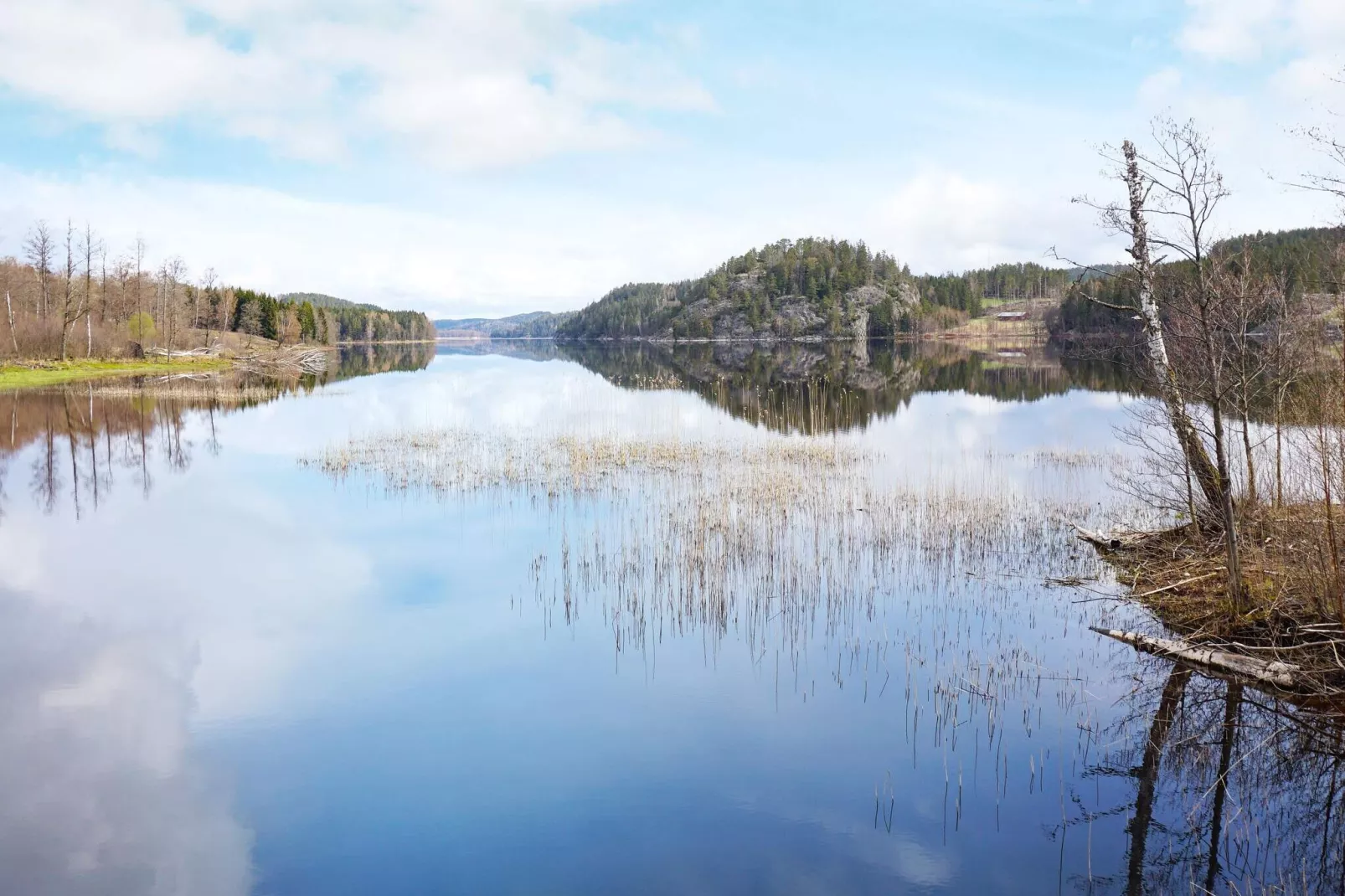 4 person holiday home in HÄLLEVADSHOLM-By Traum-Water view