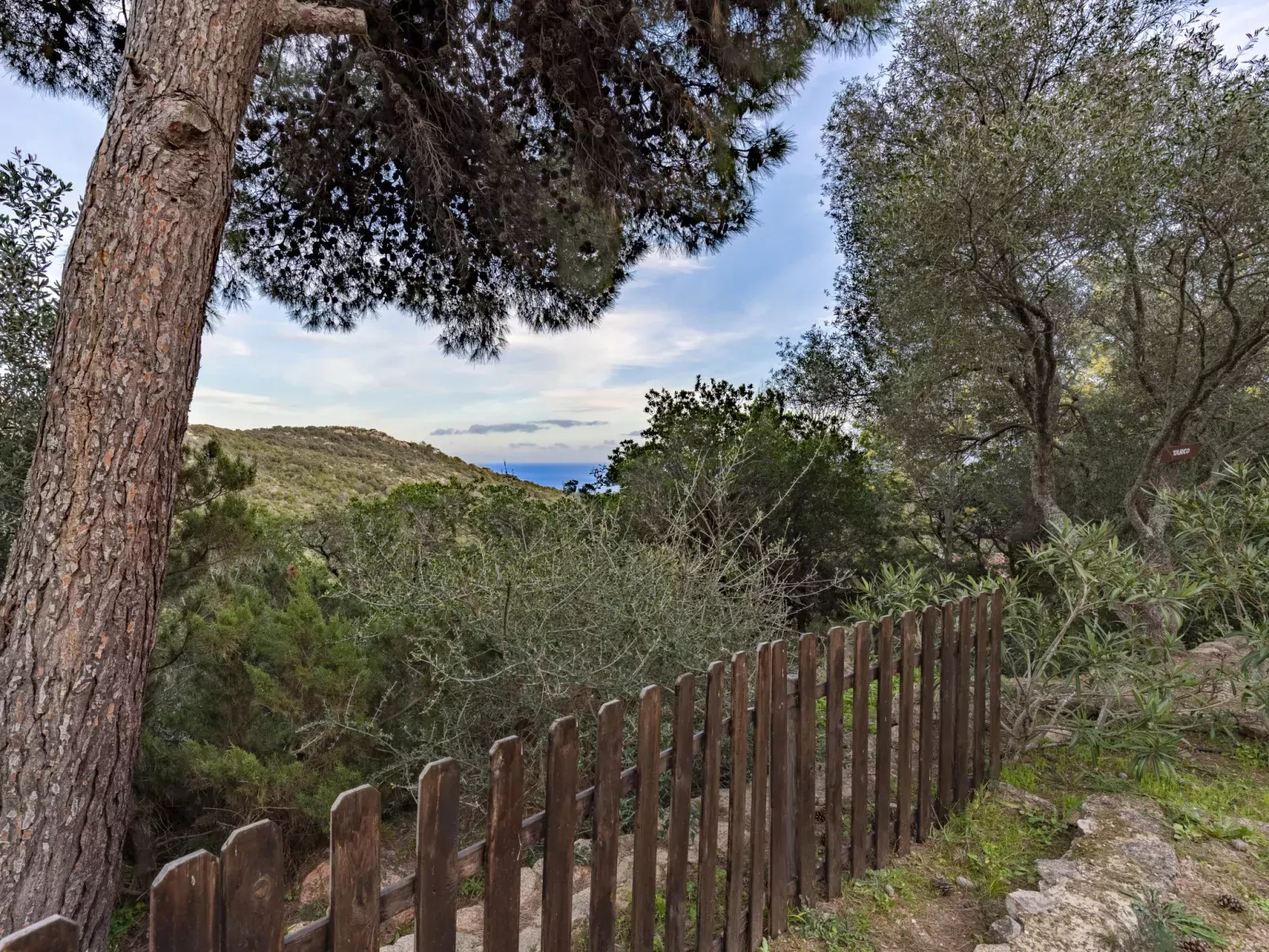 Casa Tarco-Dehors