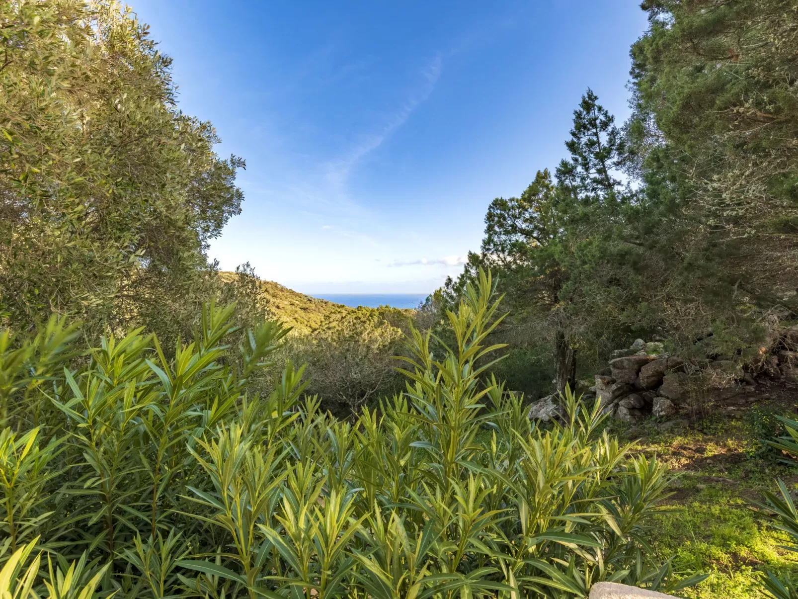 Casa Cala Rossa-Dehors