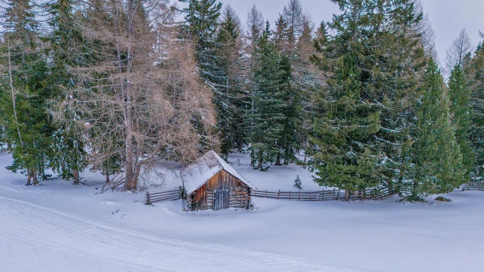 Deluxe Zirberl Top 1-Garden winter