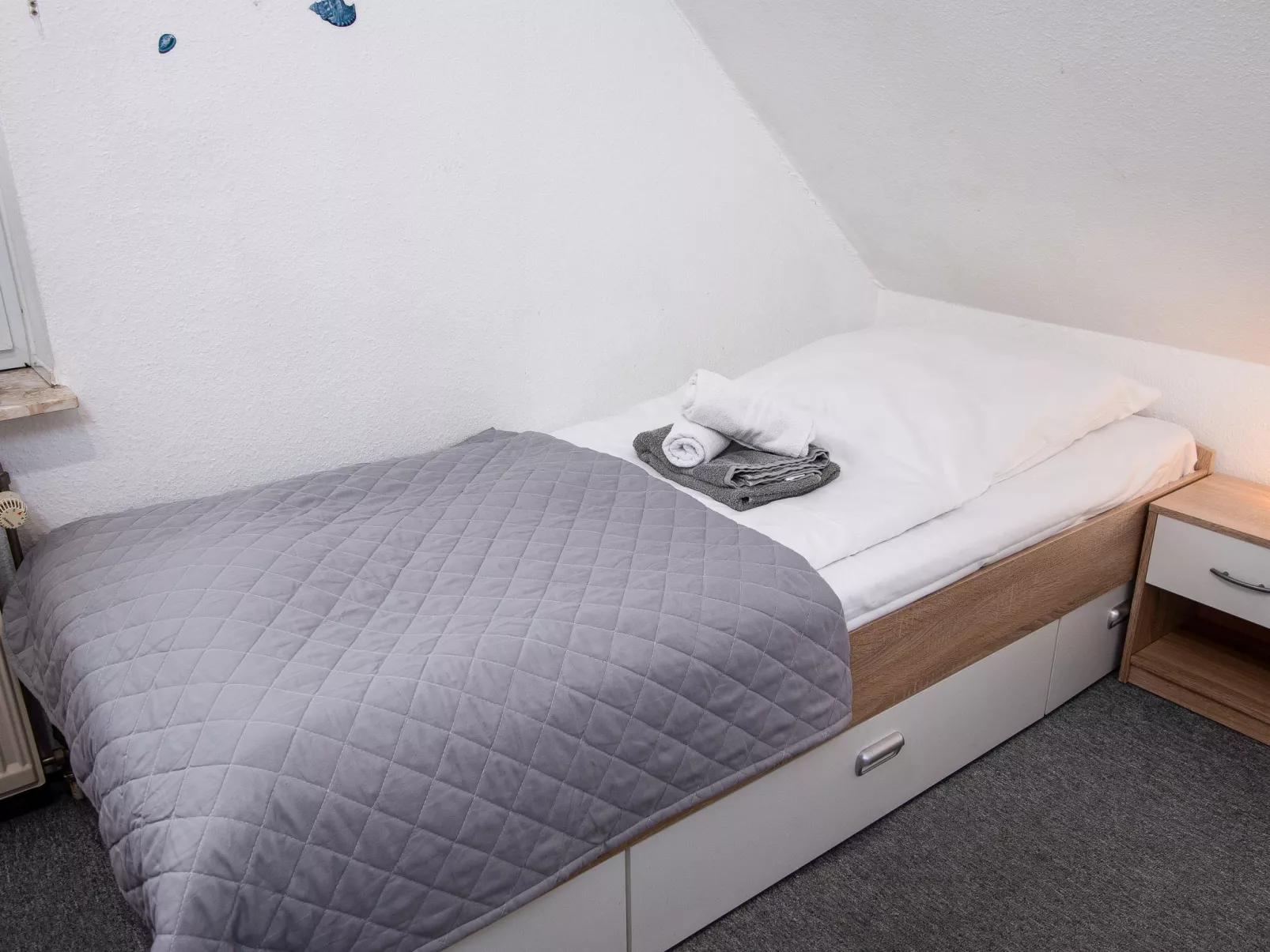 Robbe Puck-Inside