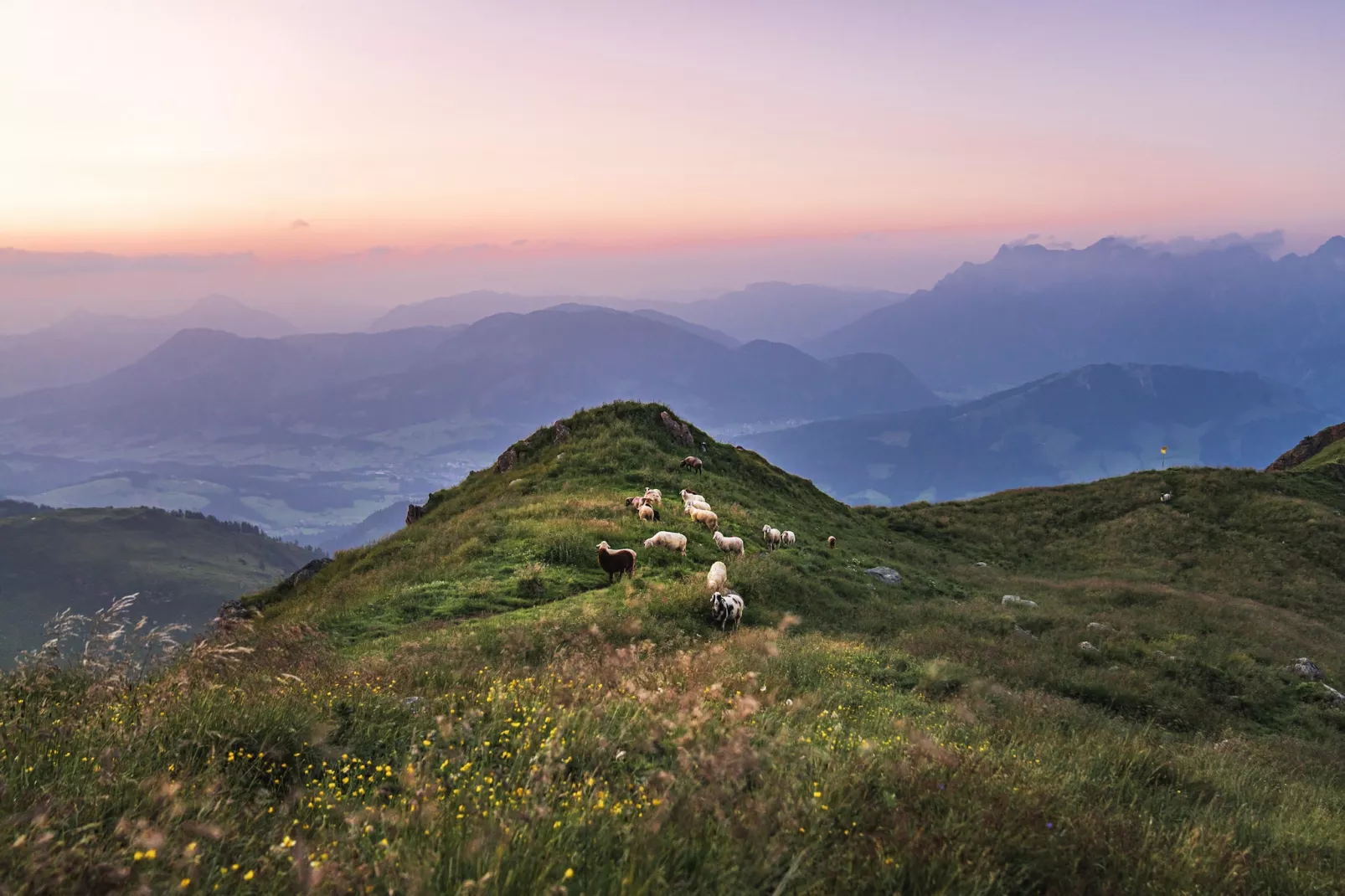 Dorfresort Kitzbühel 5-Areas summer 20km