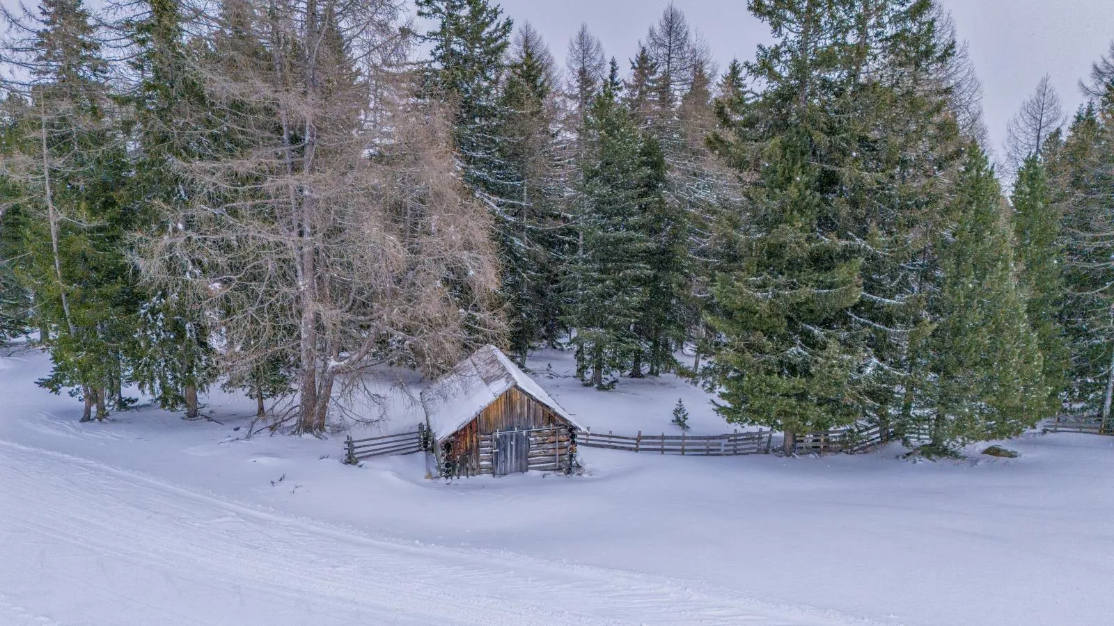 Deluxe Zirberl Top 6-Garten Winter