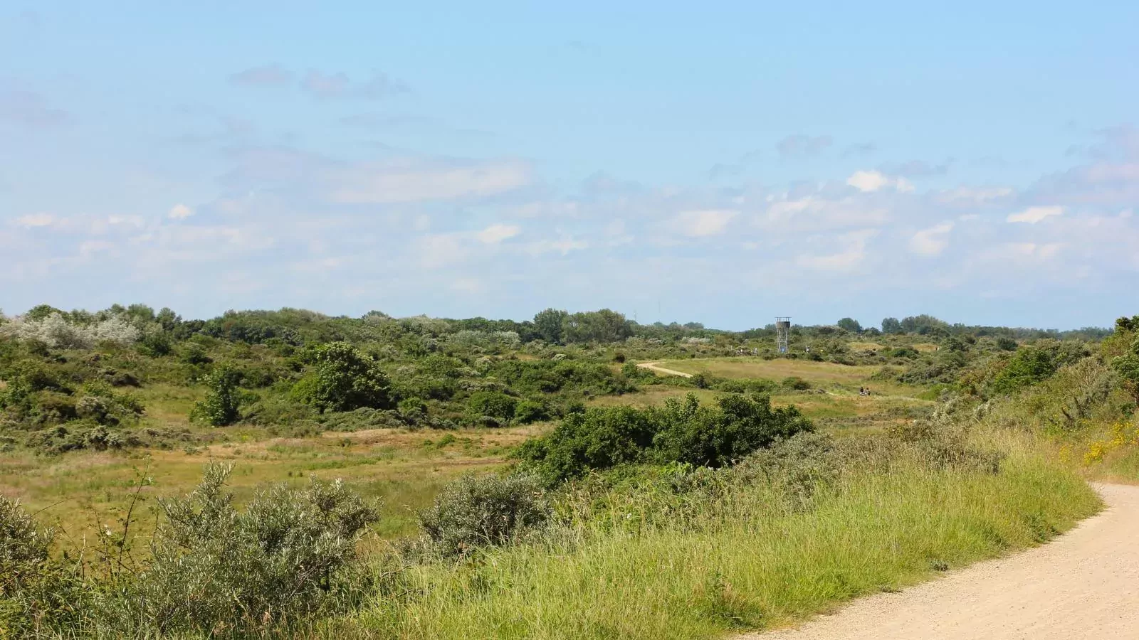 Huisje Joep-Areas summer 5km