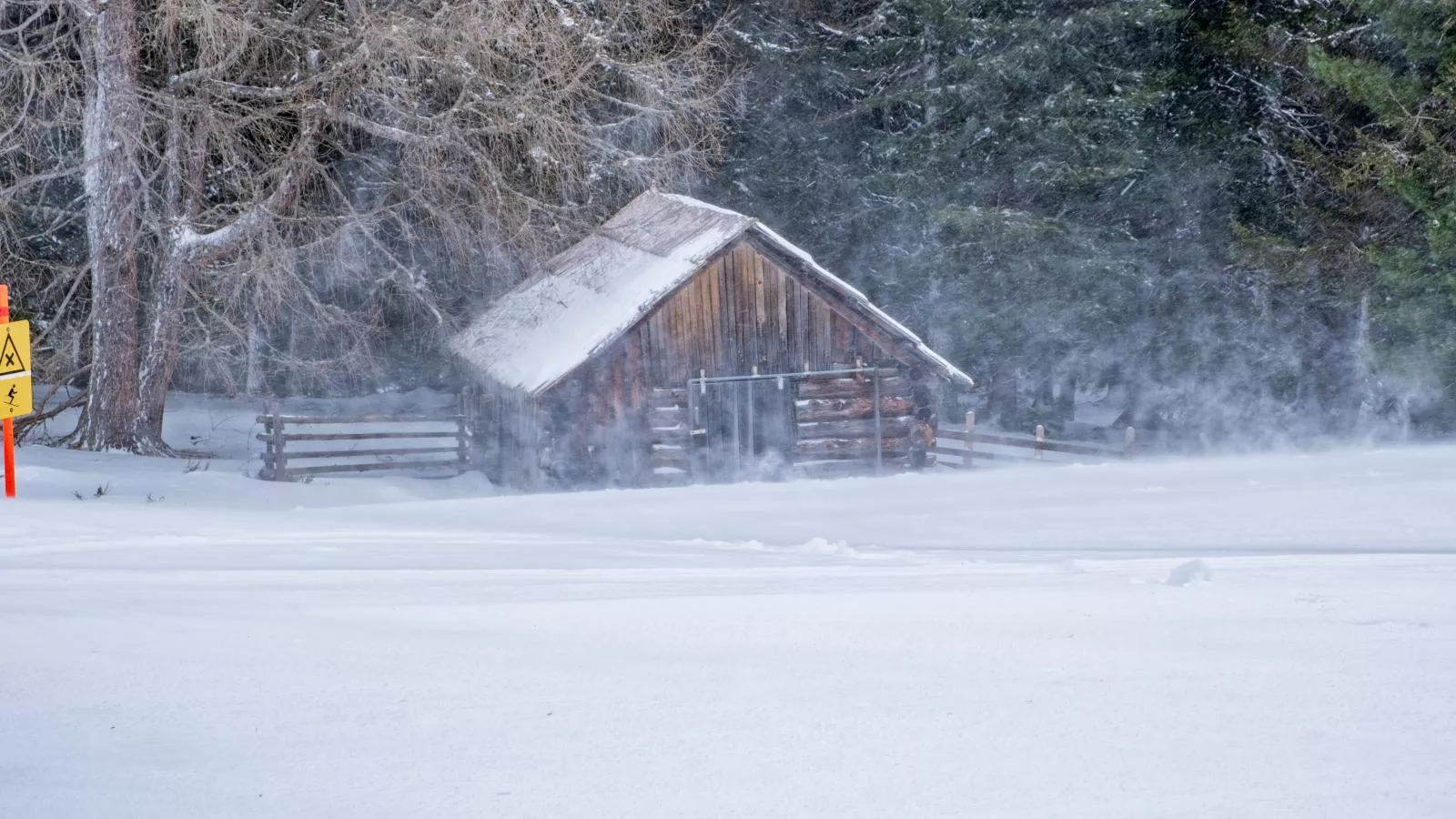 Deluxe Zirberl Top 6-Garten Winter