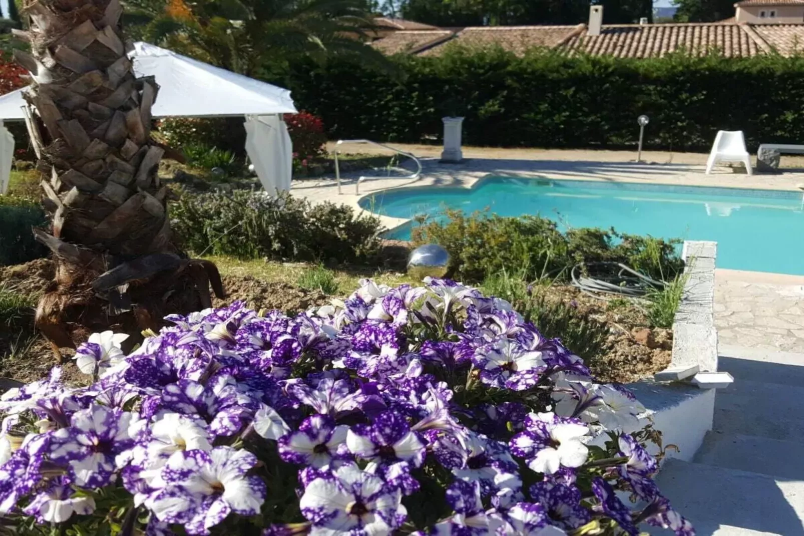 341589-Piscine