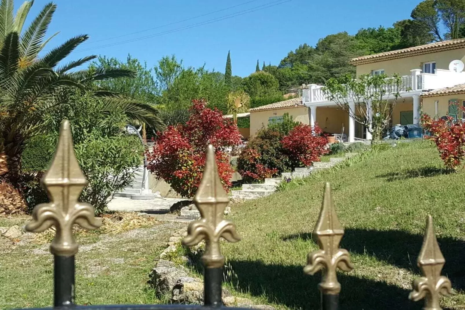 341589-Jardin d'été