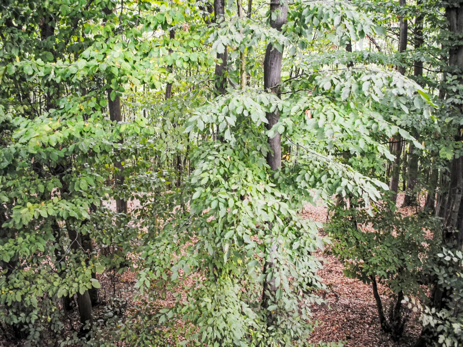 Sternschnuppe-Outside