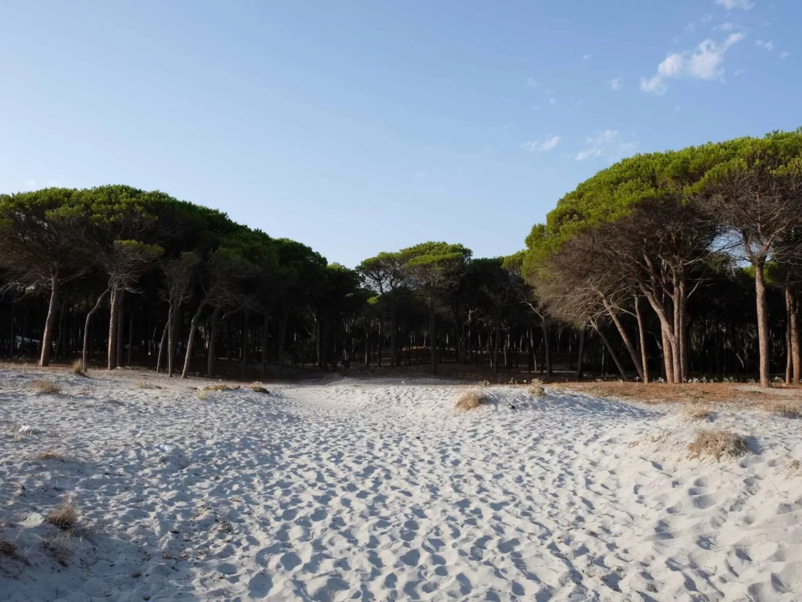Selema Camping-Outside