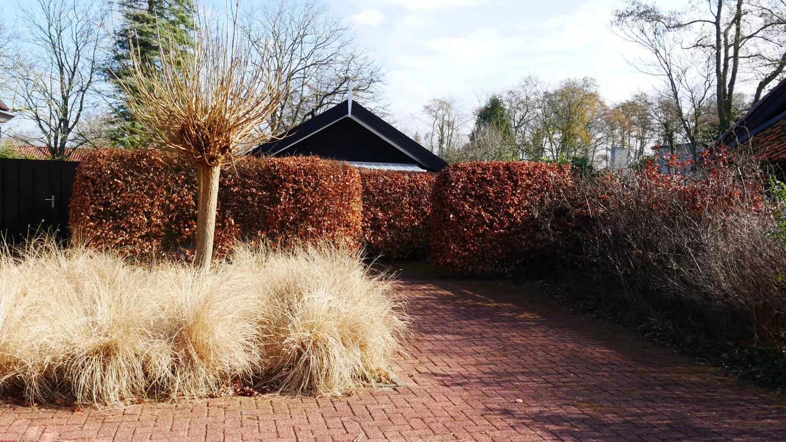 De Groeter Lodge-Garden winter