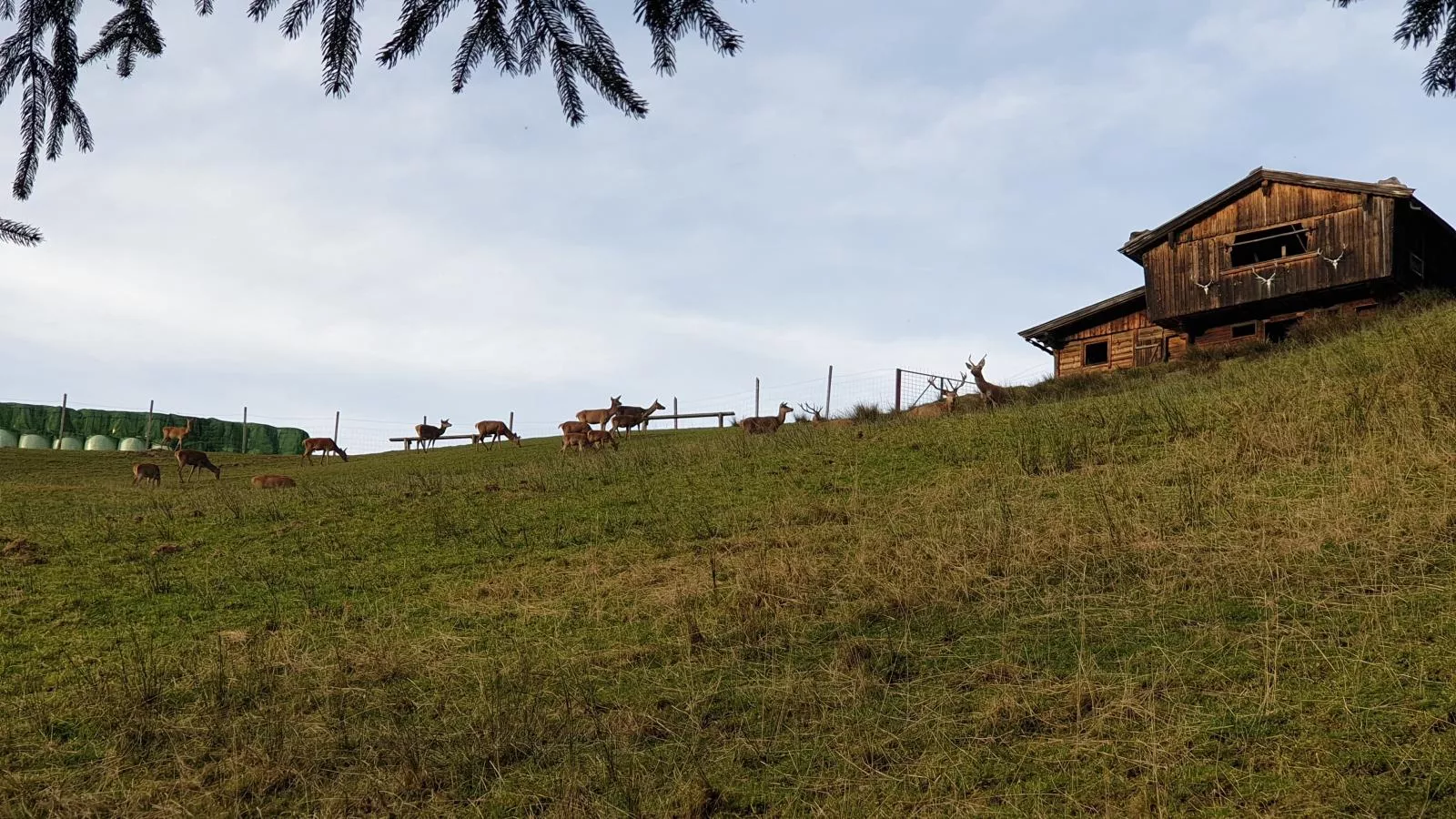 Sonnenhütte unten-Exterior summer