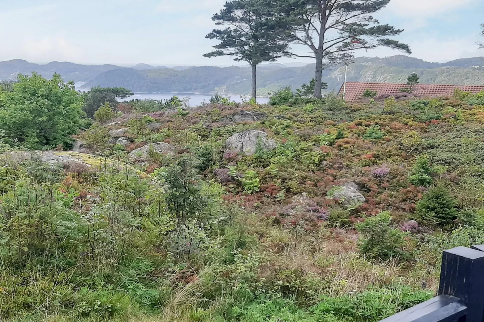 8 person holiday home in lyngdal-Not tagged