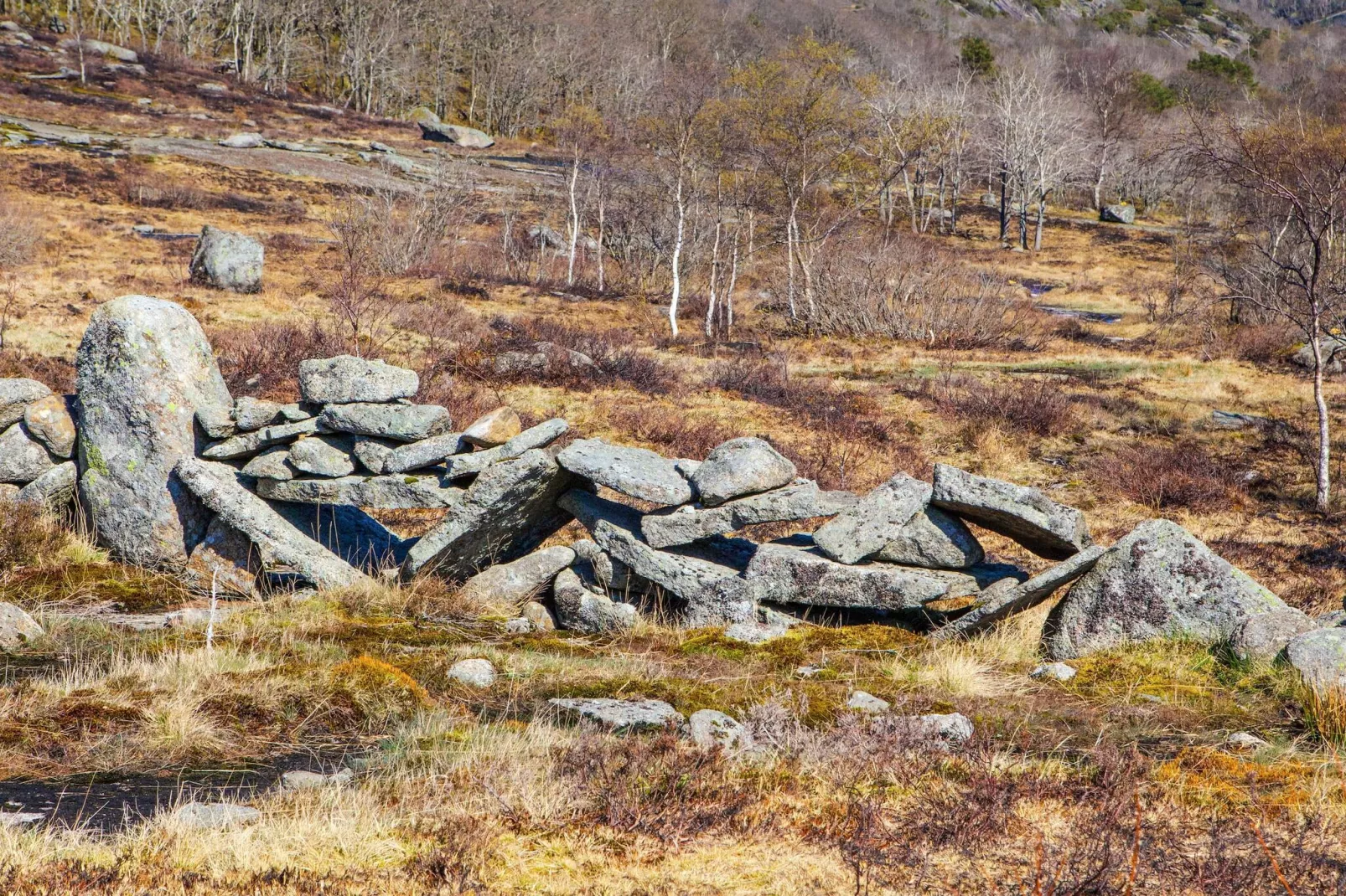 7 person holiday home in lyngdal-Not tagged
