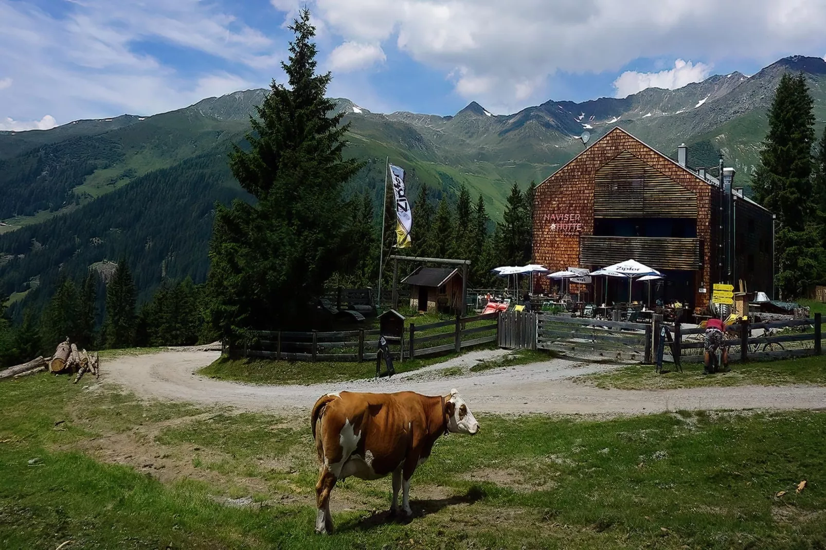 Naviser Hütte Wohnung Grünberg 144-Gebiete Sommer 1 km
