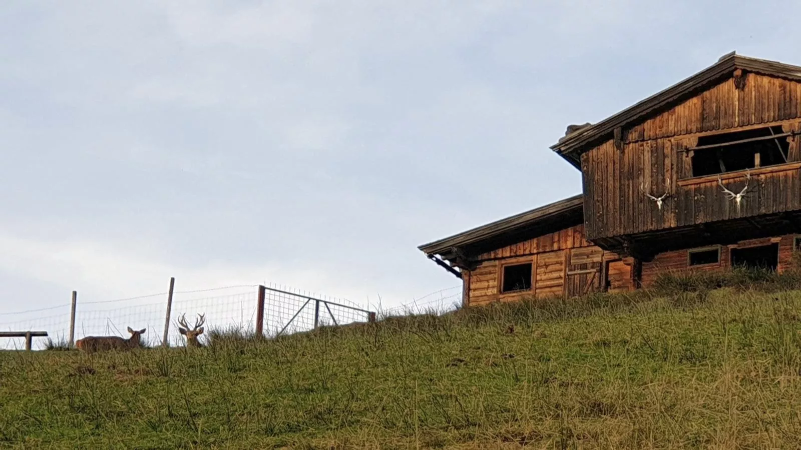 Sonnenhütte oben-Areas summer 1km