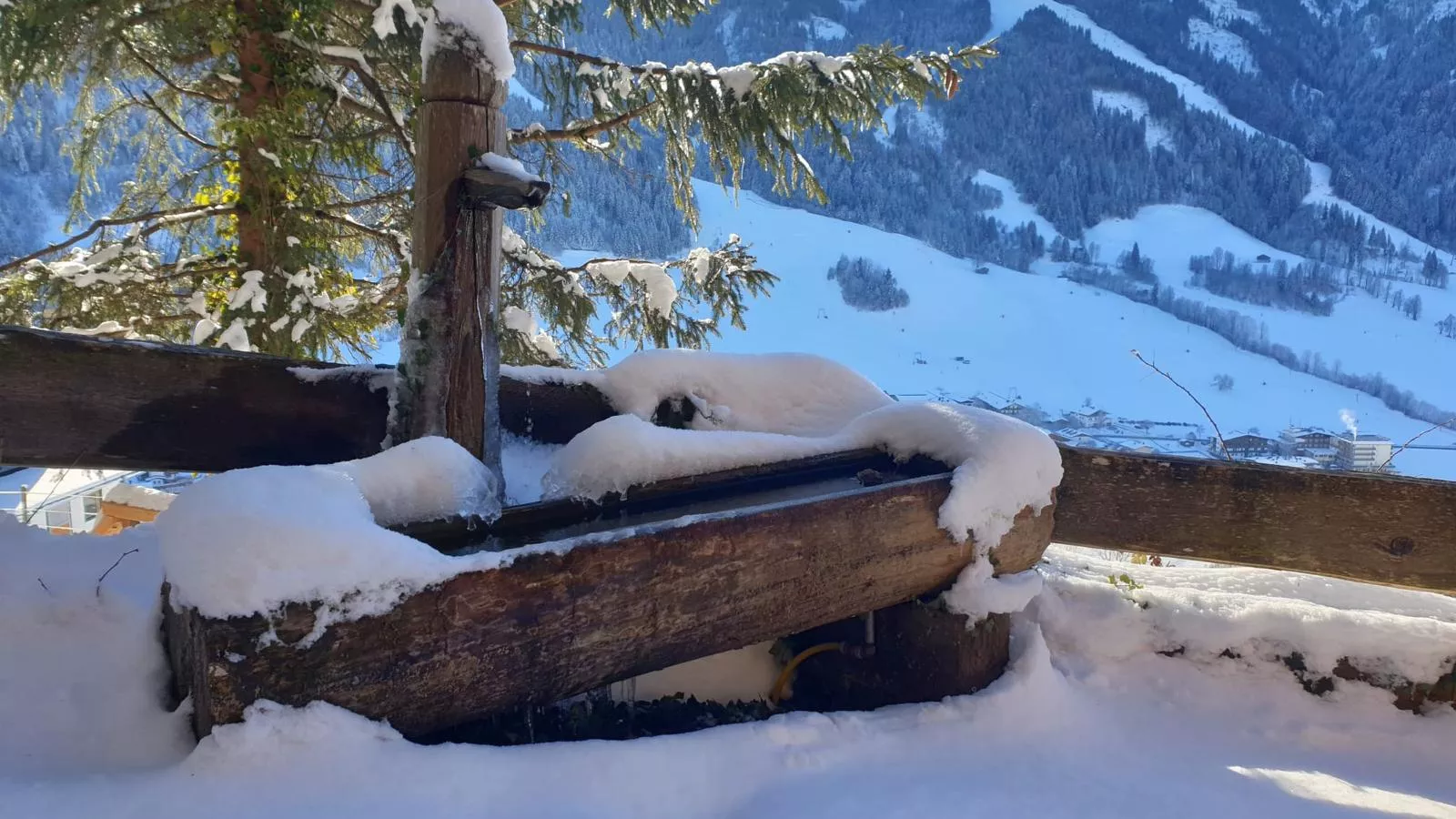 Sonnenhütte oben-Garden winter