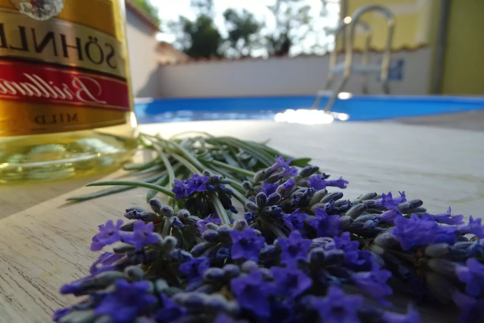 Villa Chiara-Areas summer 5km