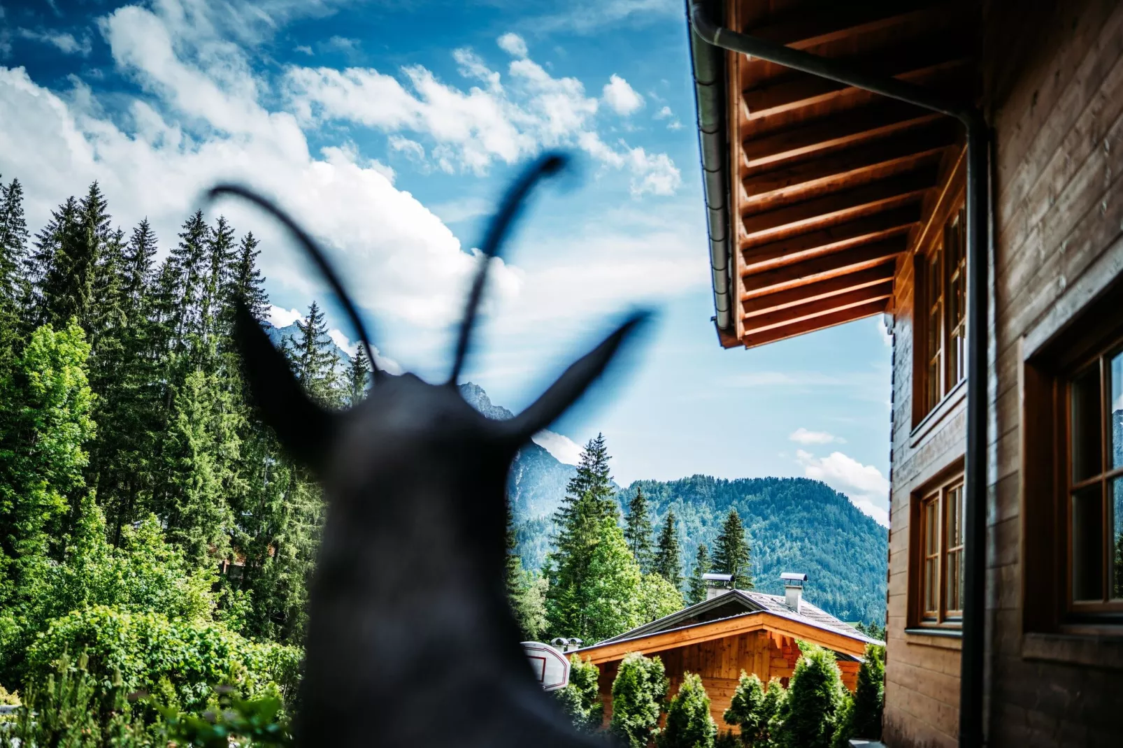 Chalet Gamsglück in Waidring - 10188805