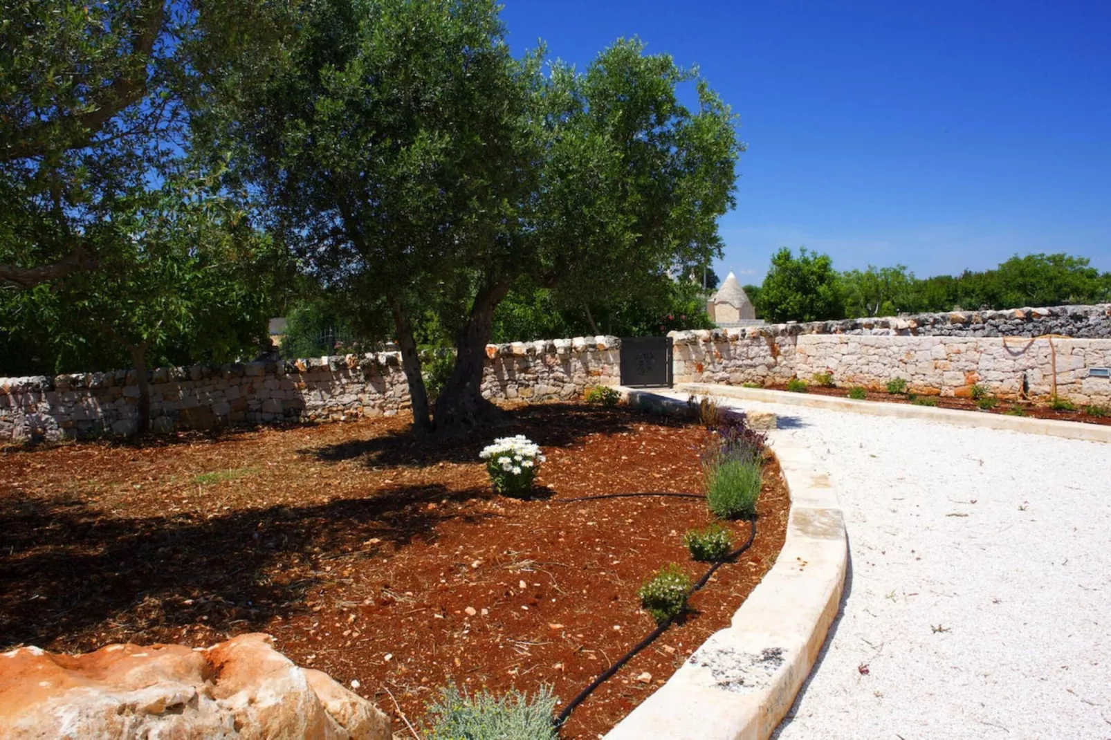 Ferienhaus Cisternino - Trulli Contrada Pico-Areas summer 1km