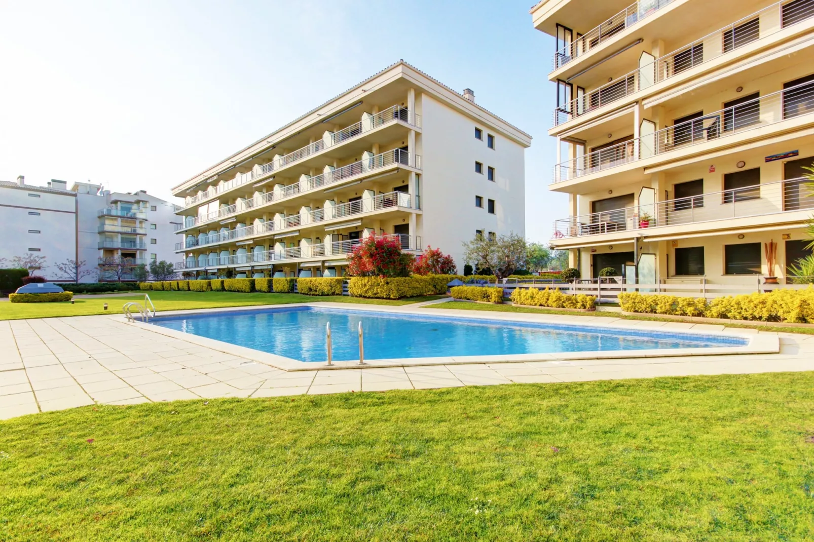 MILENI 2 1 3 1 Roses-Exterior summer