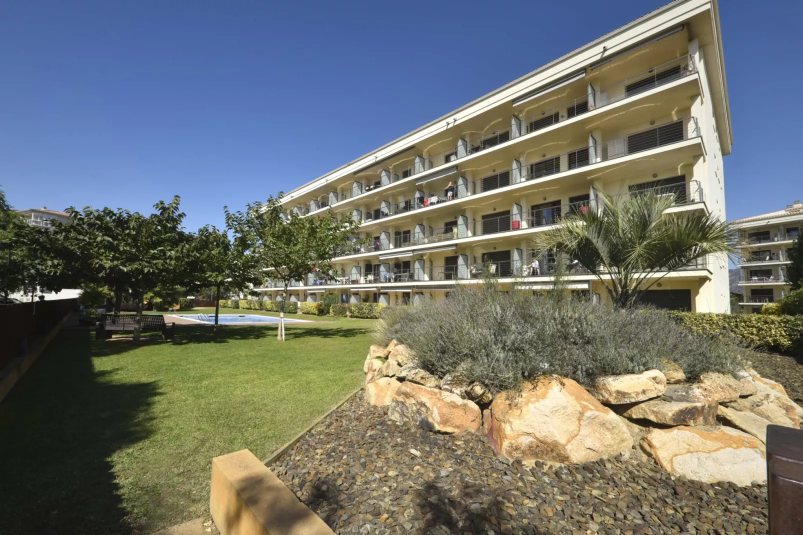 MILENI 2 1 3 1 Roses-Exterior summer