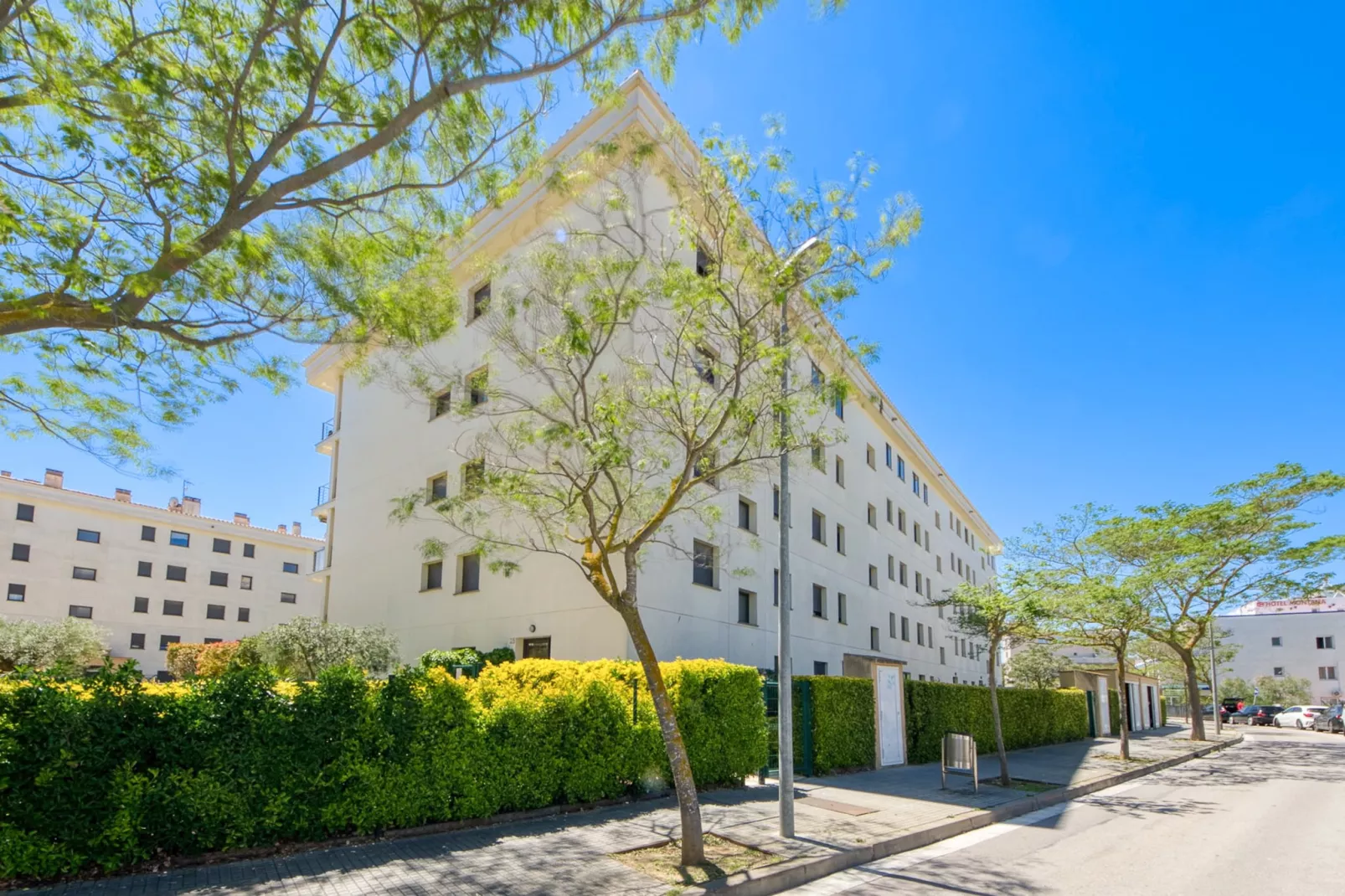 MILENI 2 1 3 1 Roses-Exterior summer