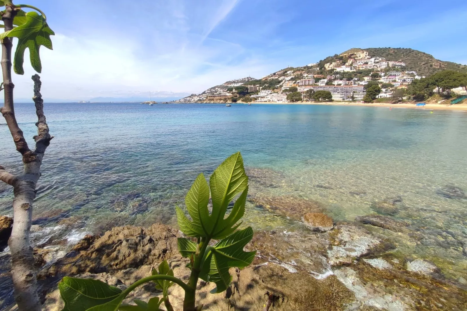 MILENI 2 1 3 1 Roses-Areas summer 5km