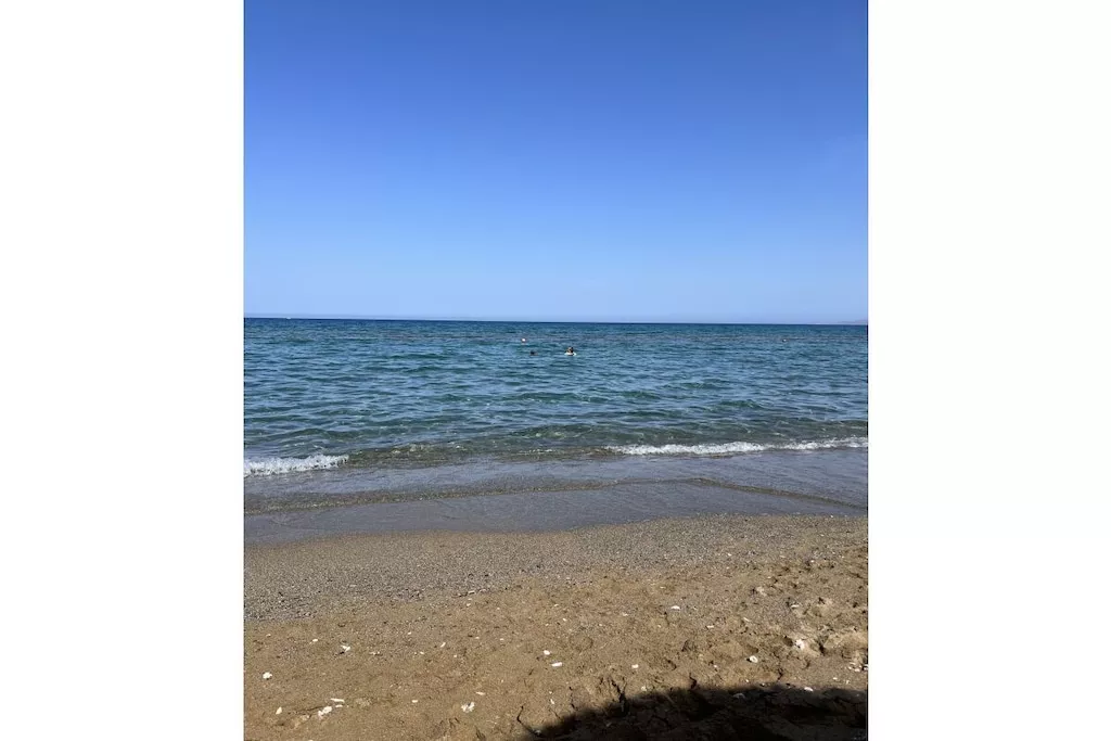 473963-Not tagged