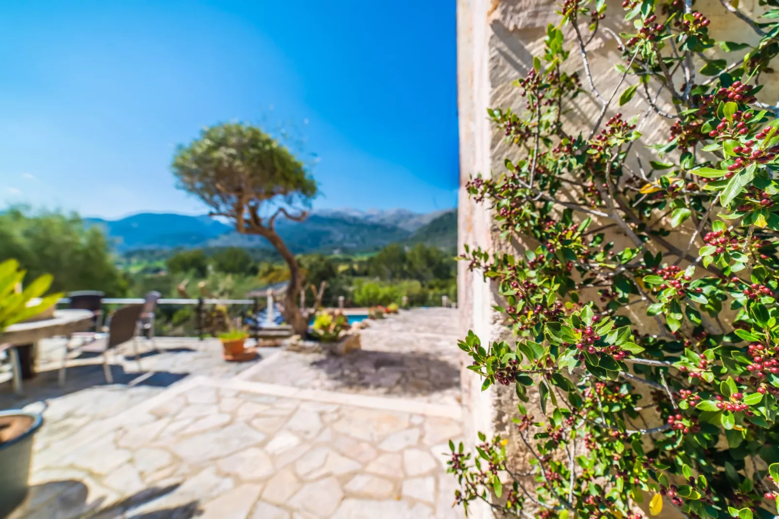 Caselles Petit-Outdoor