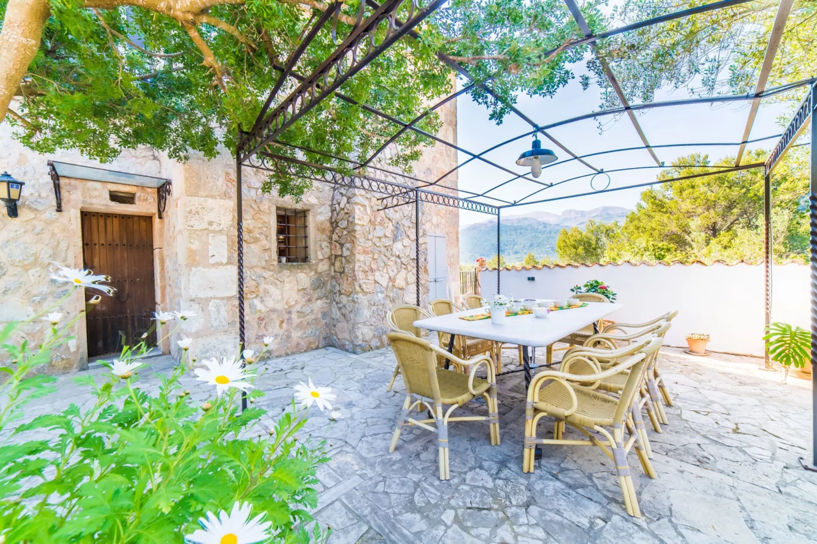 Caselles Petit-Terrace