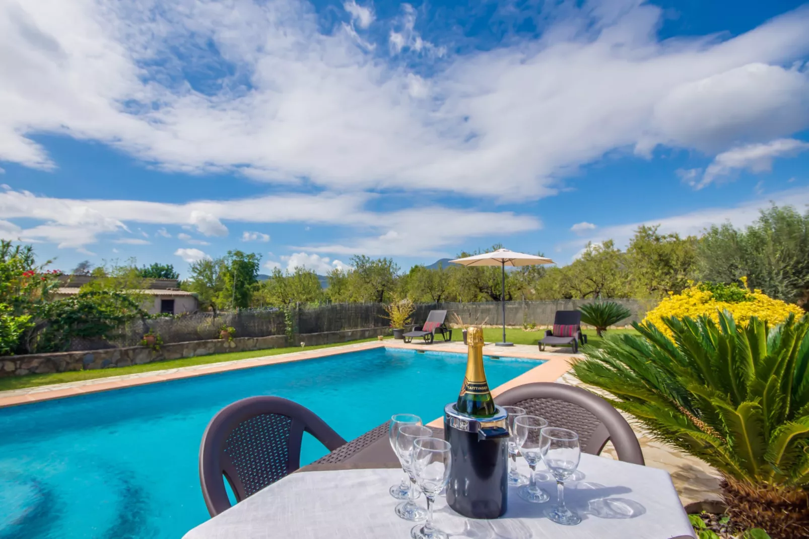 Casa de Puri-View summer