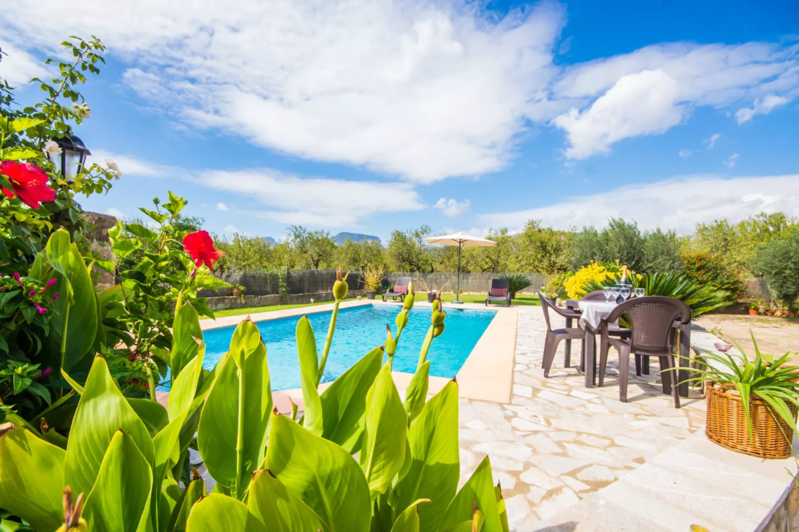 Casa de Puri-Terrace