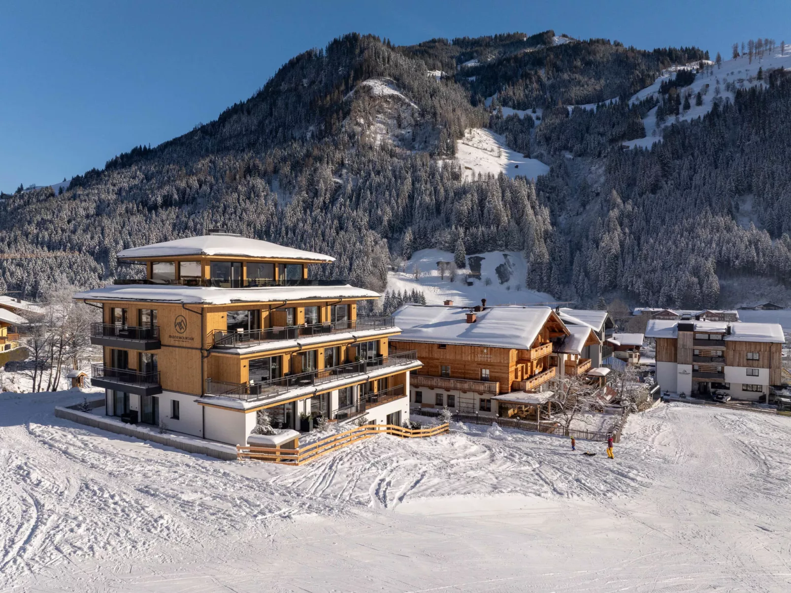 Mountain Suite Nr 101 - 10498371