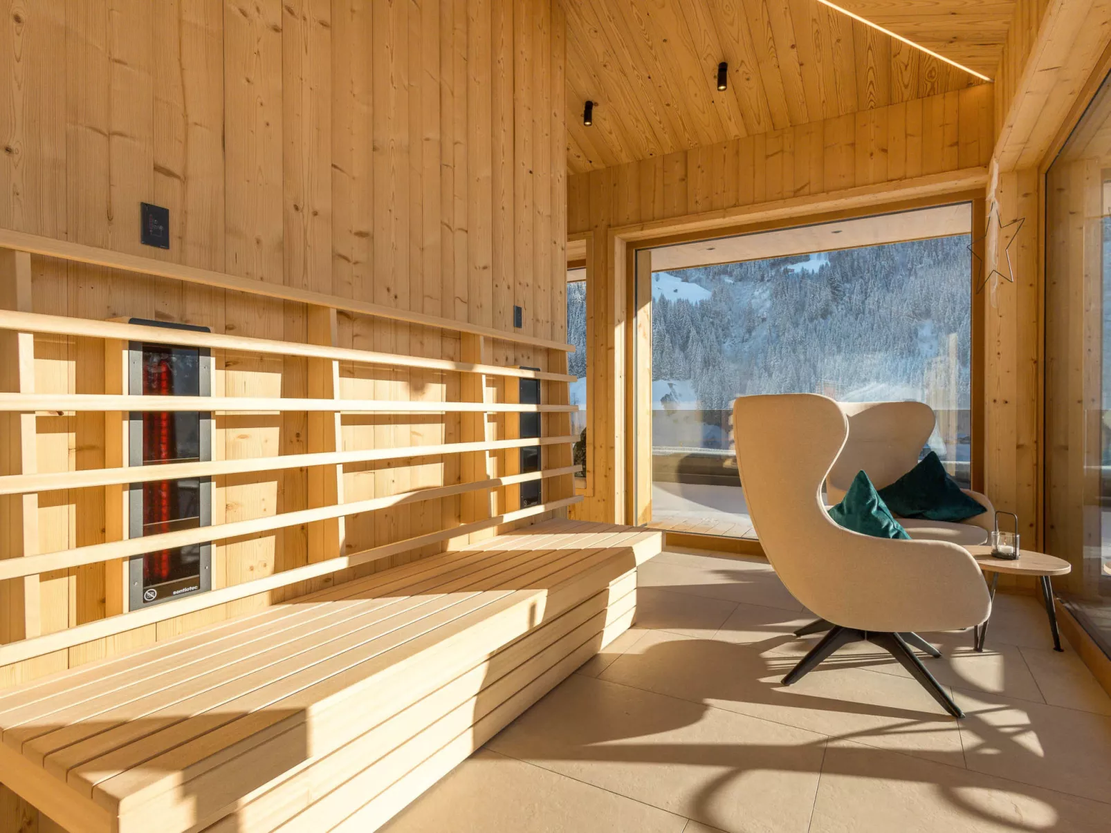 Mountain Suite Nr 101 - 10498392
