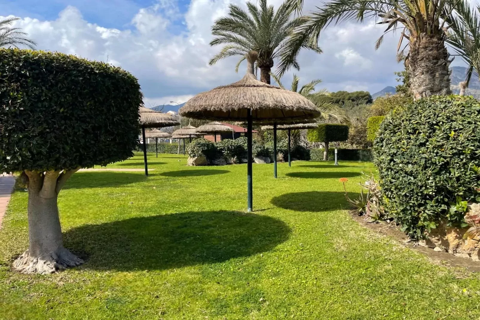 BenalBeach vistas al mar 704-Jardin d'été
