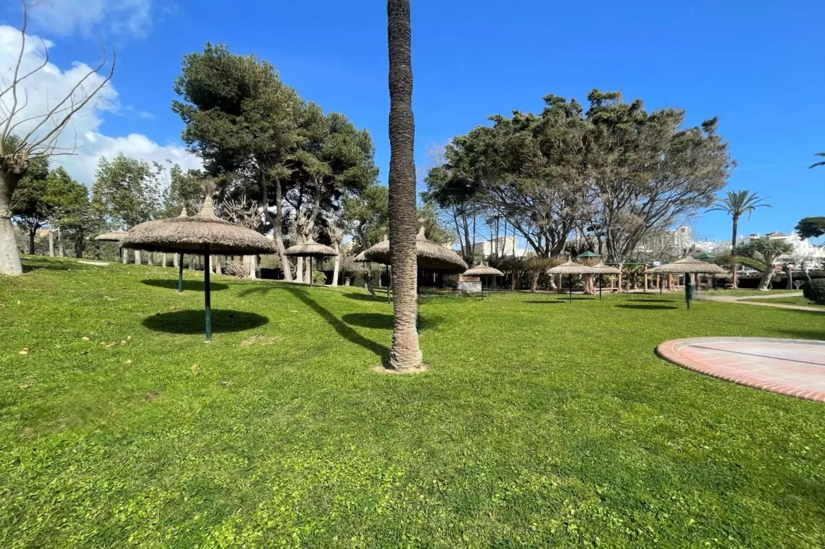 BenalBeach vistas al mar 704-Jardin d'été