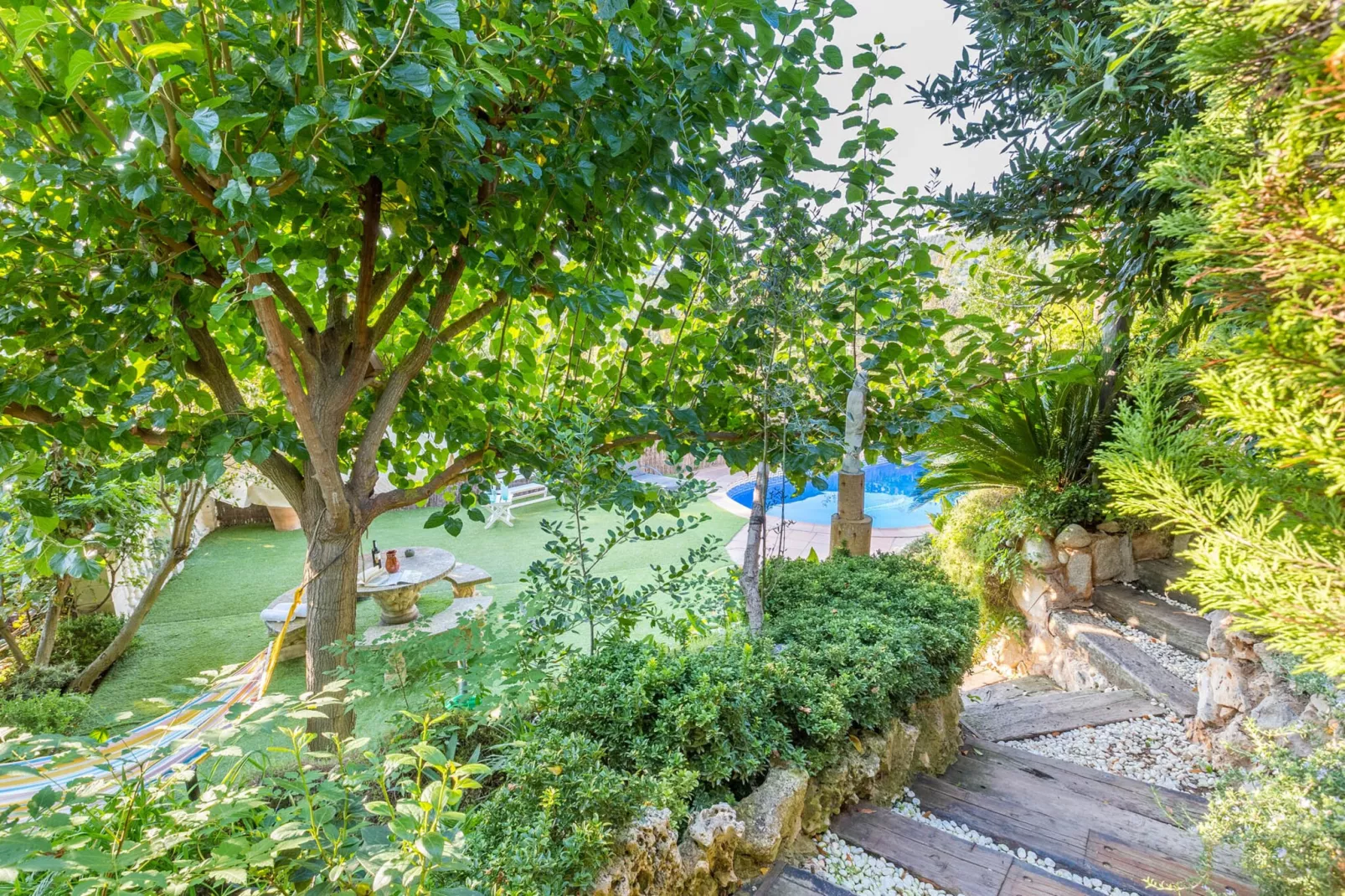 Dama-Areas summer 5km