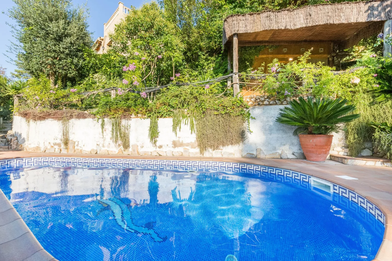 Dama-Pool