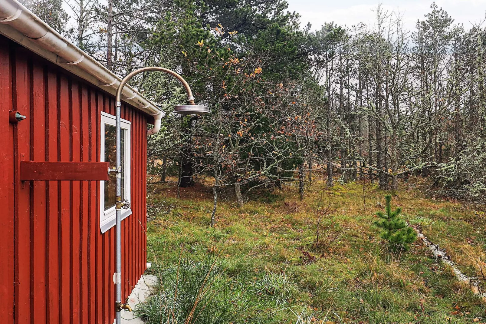 6 person holiday home in Ålbæk-By Traum-View