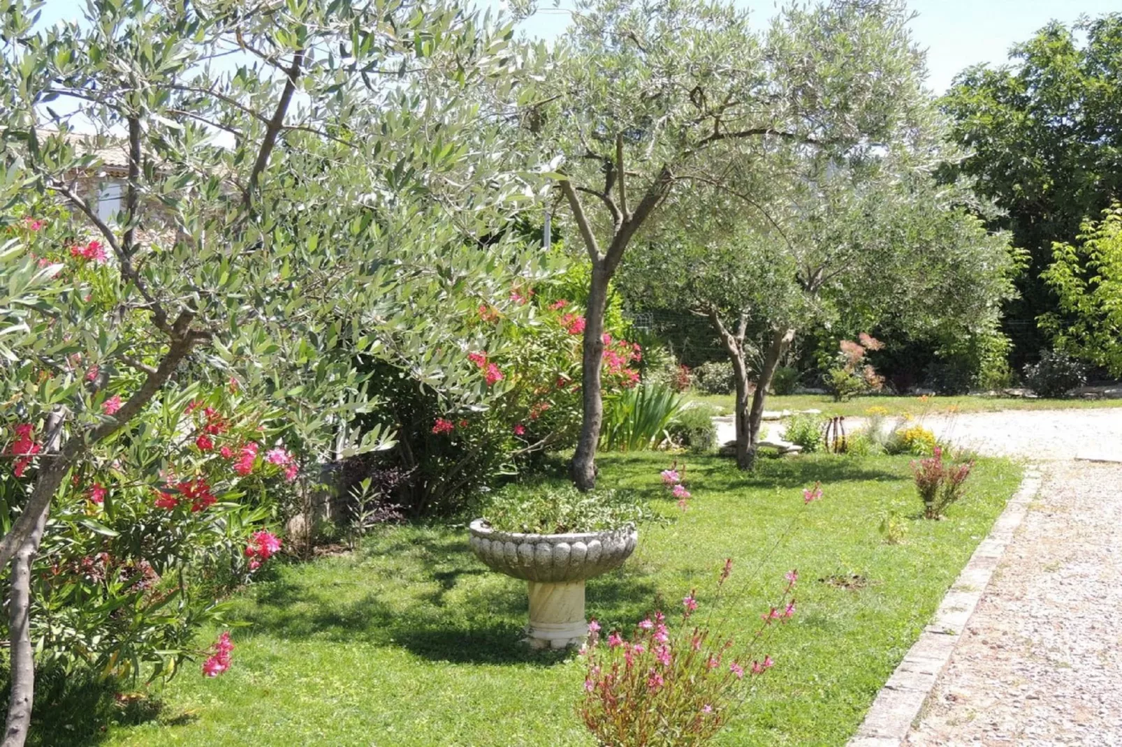 Alana-Gardens summer