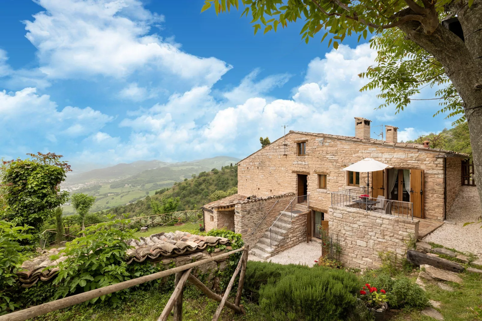 Il Conio Ginestra - 10146632