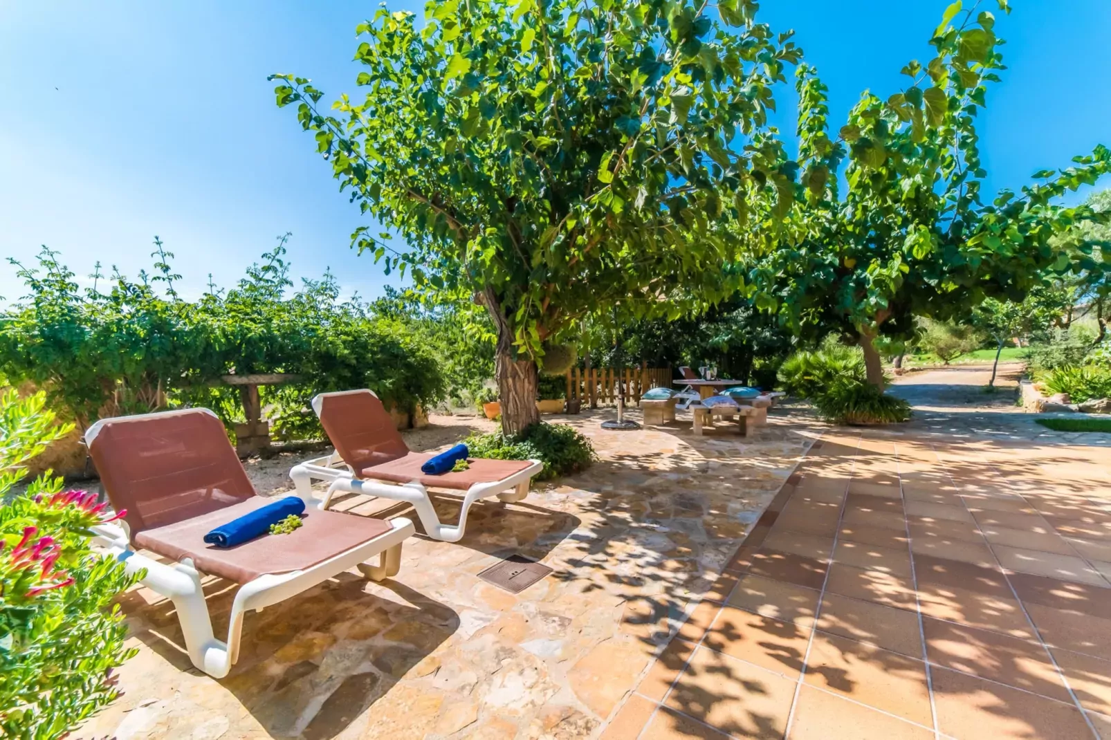 Finca Na Babayana-Terrace