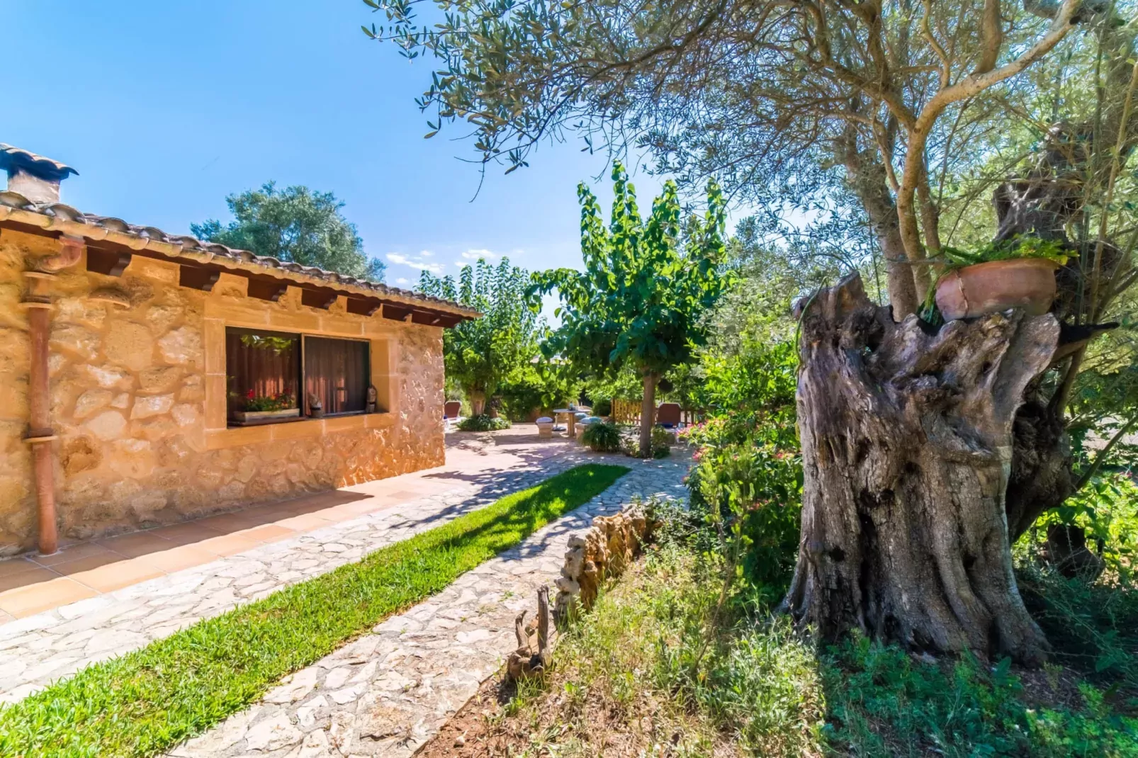 Finca Na Babayana-Terrace