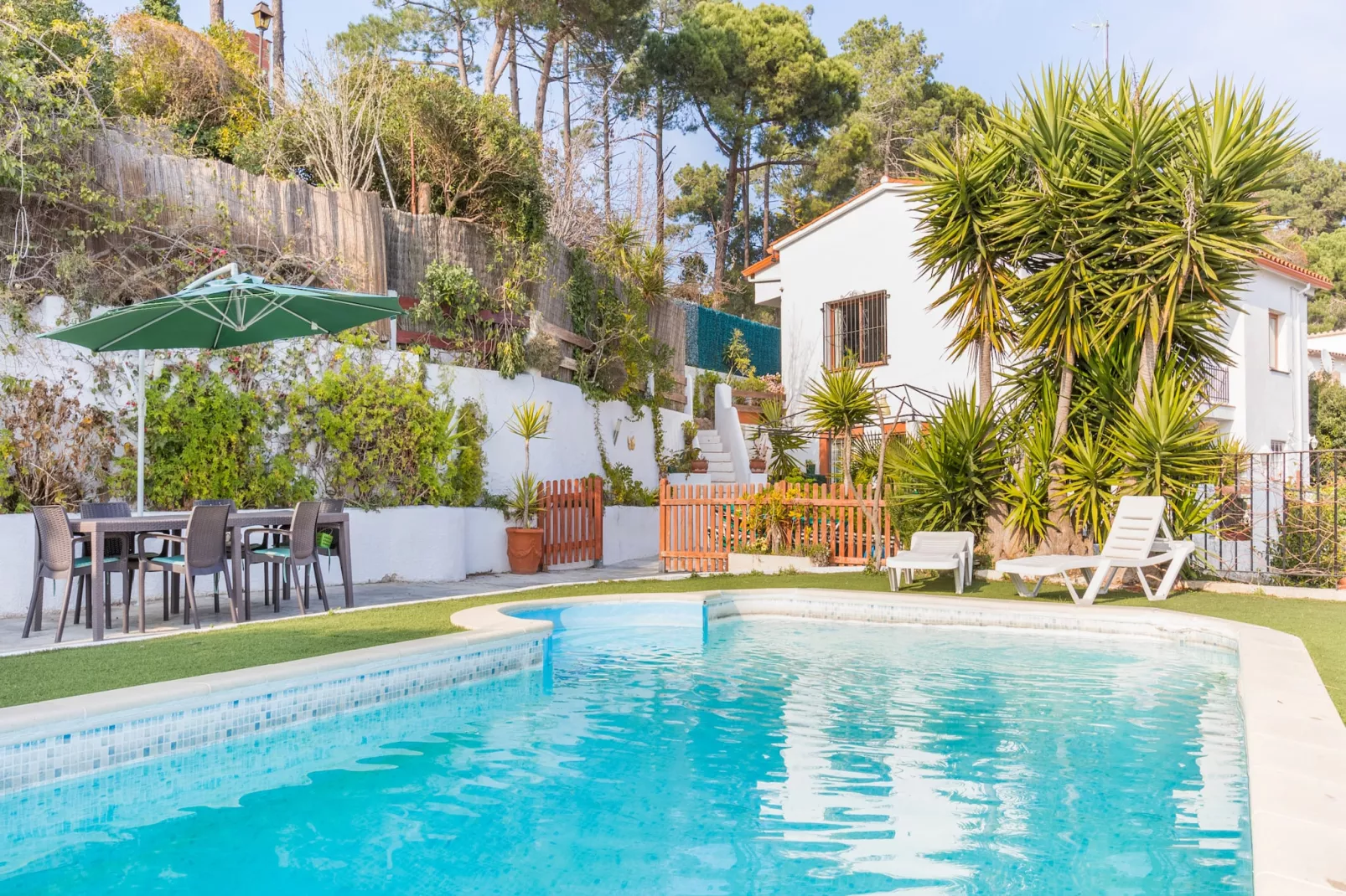 Palmeras-Exterior summer