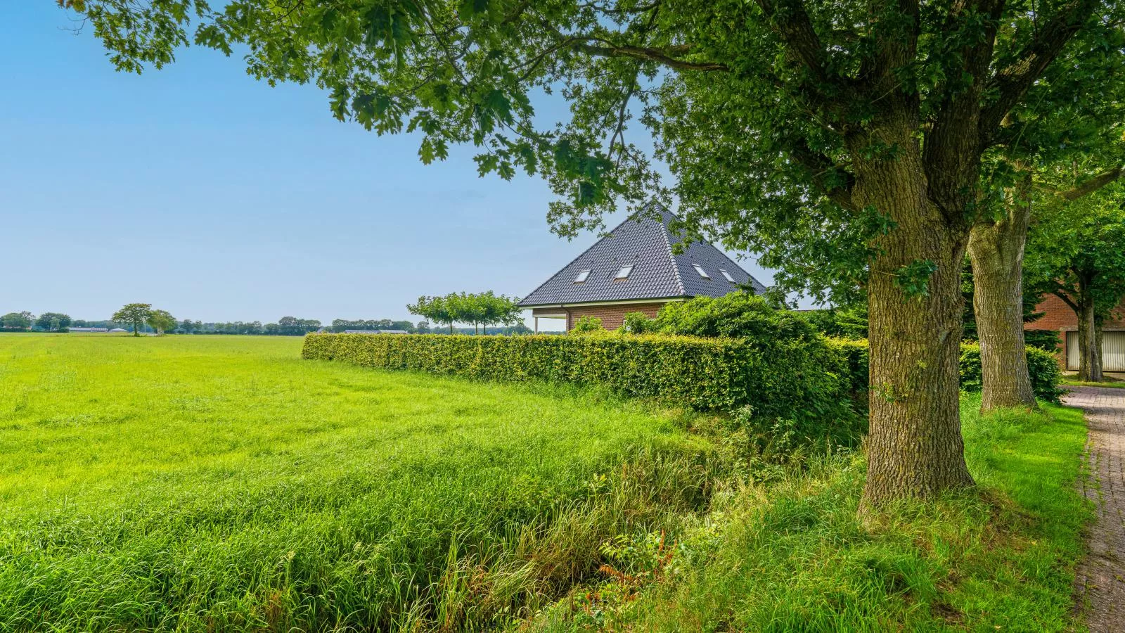 De Kolonie-Exterior summer