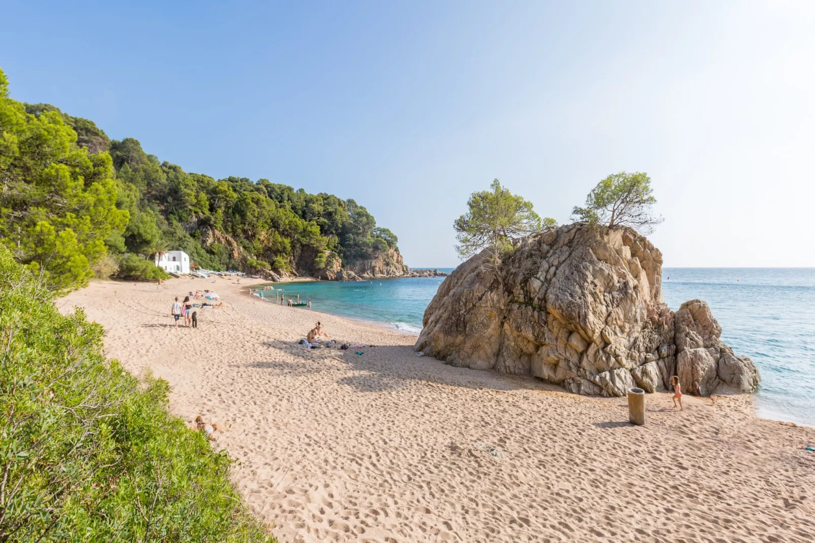 Palmeras-Areas summer 20km